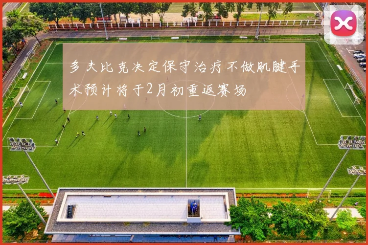 多夫比克决定保守治疗不做肌腱手术预计将于2月初重返赛场