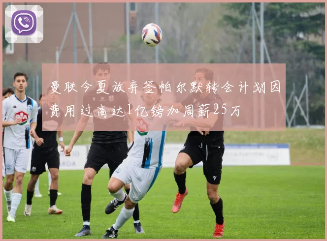 曼联今夏放弃签帕尔默转会计划因费用过高达1亿镑加周薪25万